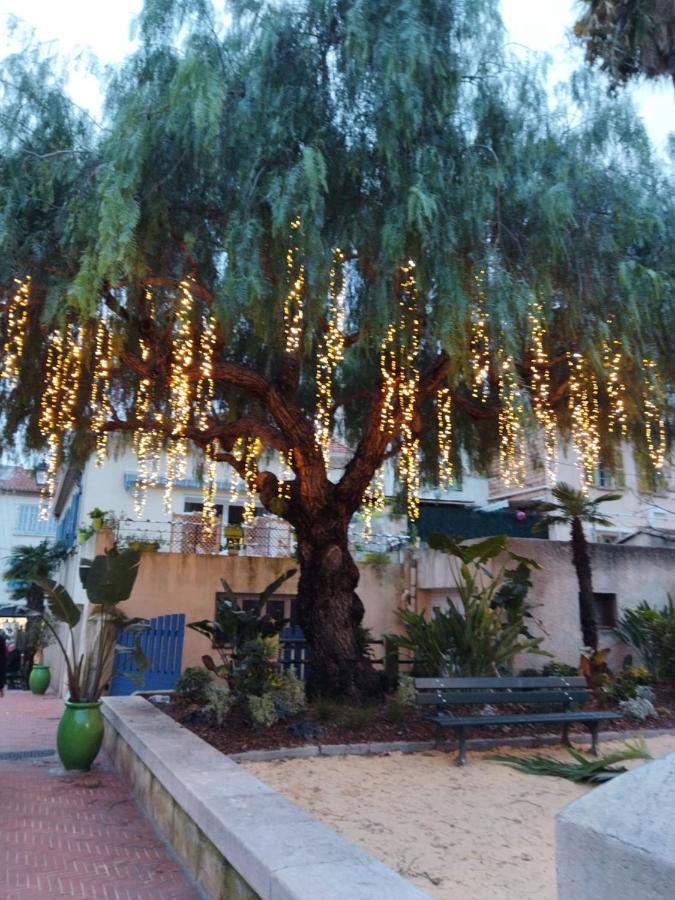 Sanary Sur Mer Appartement 30M2 T2 Avec Terrasse Piscine 10Min A Pied De La Plage 外观 照片